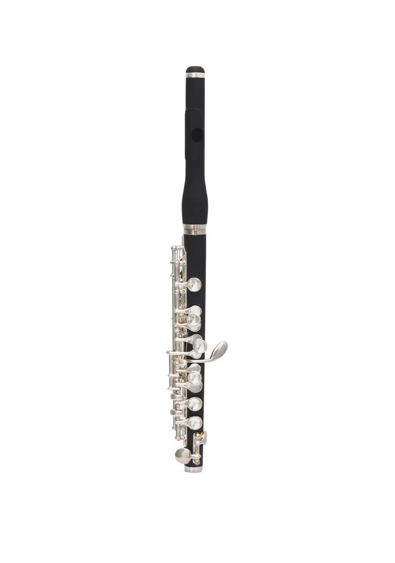Trevor James Flute Piccolo Ebene