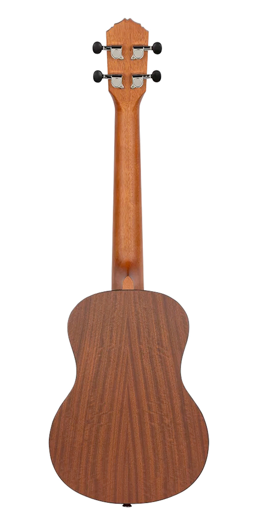 RU5-TE, modèle Ténor, table épicéa avec motif, fond & éclisses sapele, manche acajou, naturel satiné