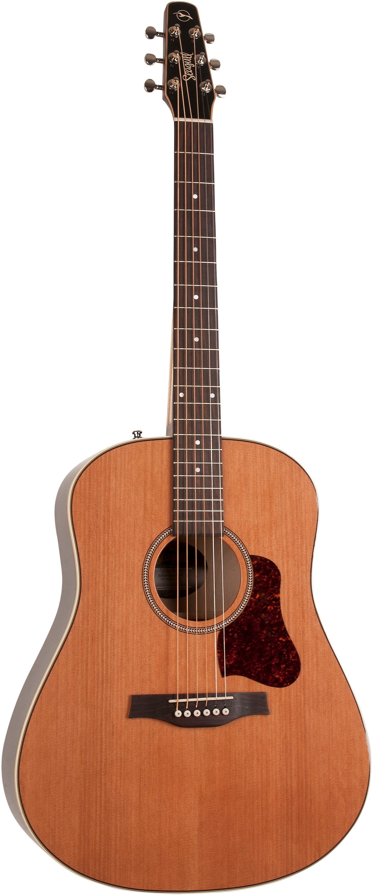 M. MILLER V5 Alder-4 FL TS MN