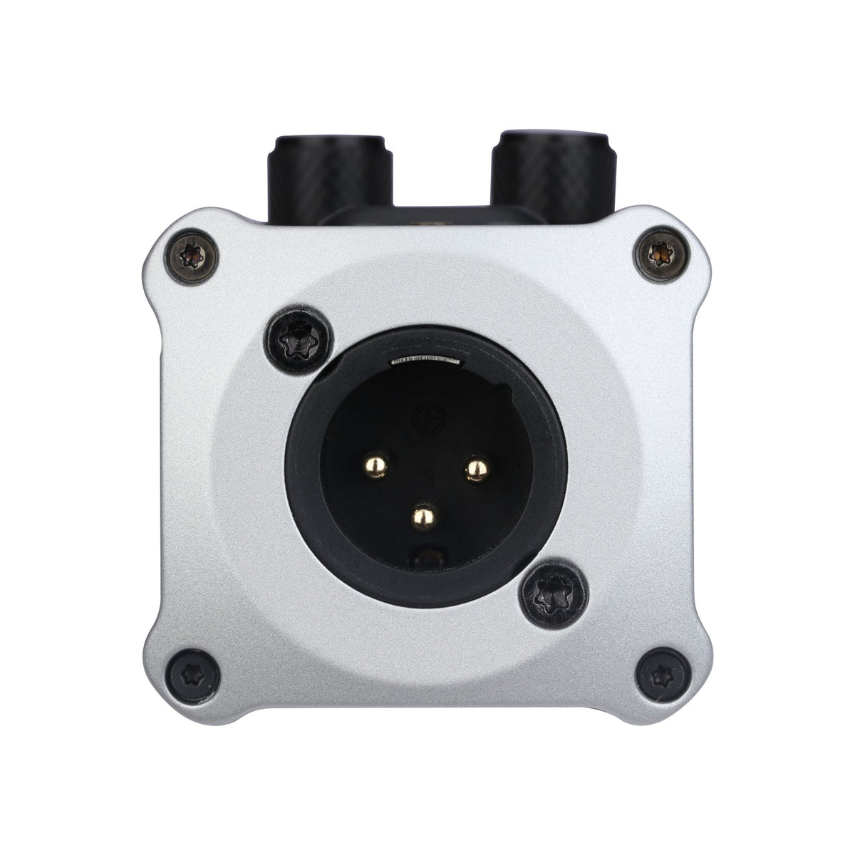 XVIVE P2