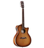 Alvarez Artist Elite AEG95 SHB Shadowburst