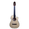 Altamira FZ-4