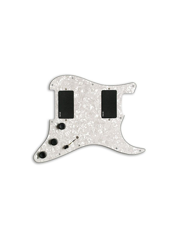 Pickguard collection, KH21 - Kirk Hammett