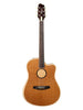 L.R. Baggs AEG-1 Torrefied