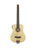 Traveler AG-105 EQ