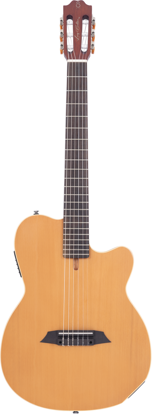 LARRY CARLTON G5N NT.S