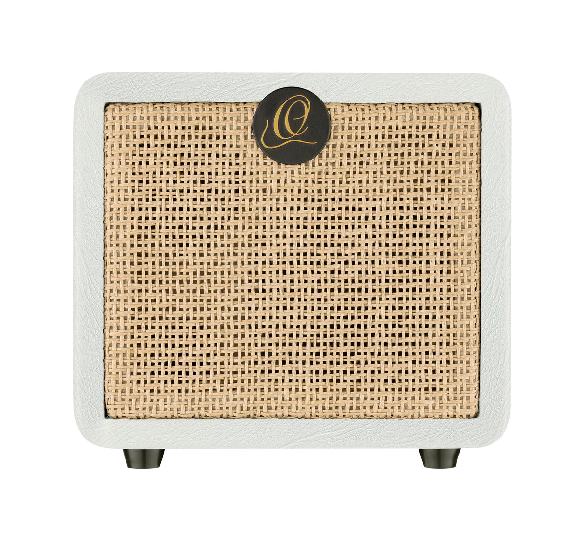 PTWO-LTD, ampli combo guitare acoustique 12W, Streaming Bluetooth, sortie casque, delay, reverb & chorus intégrés, simili cuir