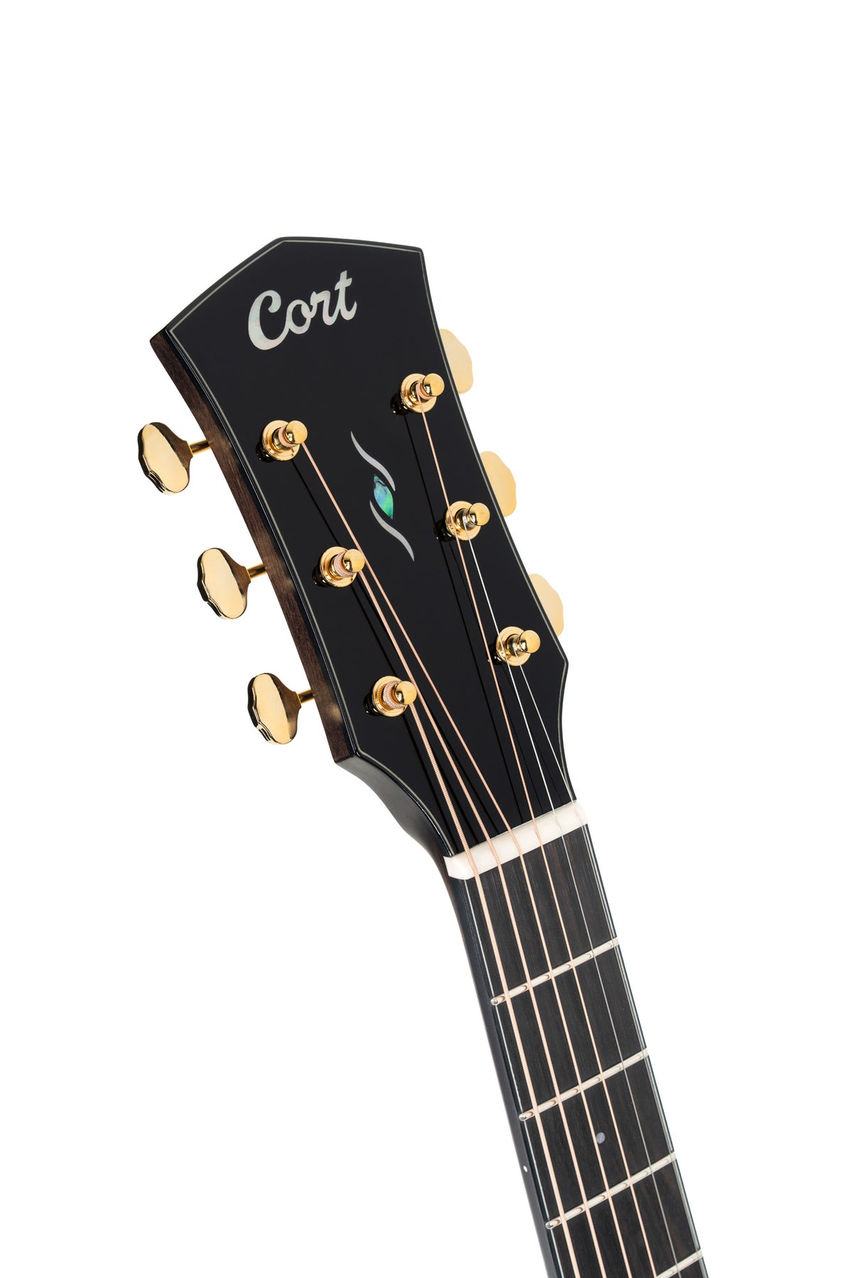 GUITARE CORT GOLD MC6 OVANGKOL BRILLANT
