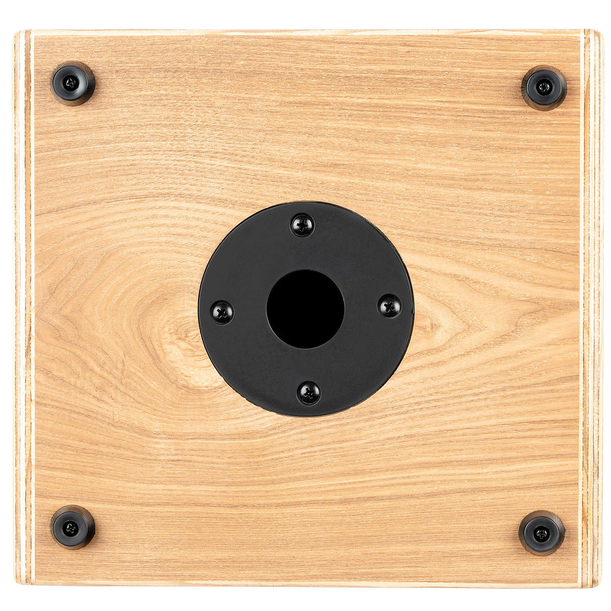 CONE-ASH, ampli combo guitare acoustique 100W, deux canaux, réverb & chorus intégrés, avec housse, frêne naturel satiné et noir