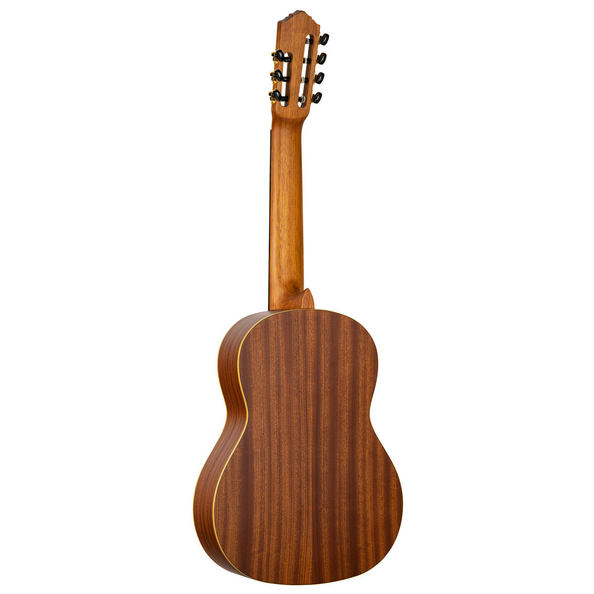 R133-7, modèle 7 cordes, table épicéa massif, fond & éclisses sapele, manche nato (sillet 60 mm), housse, naturel satiné