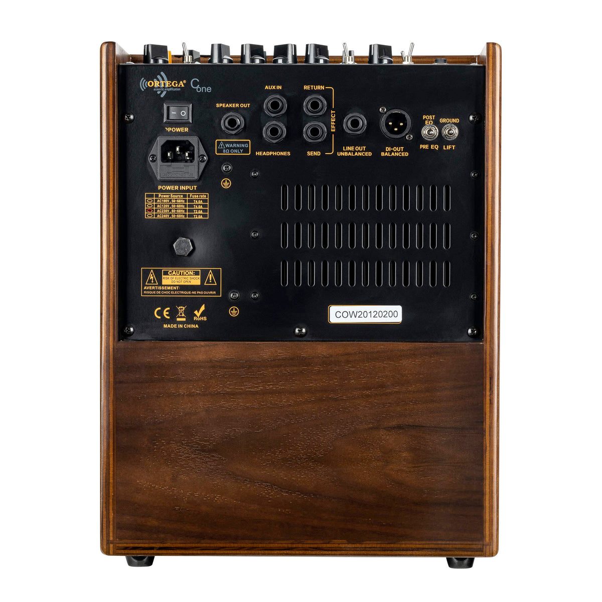 CONE-WND, ampli combo guitare acoustique 100W, deux canaux, réverb & chorus intégrés, avec housse, noyer foncé satiné et noir