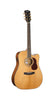 Cort Gold DC6