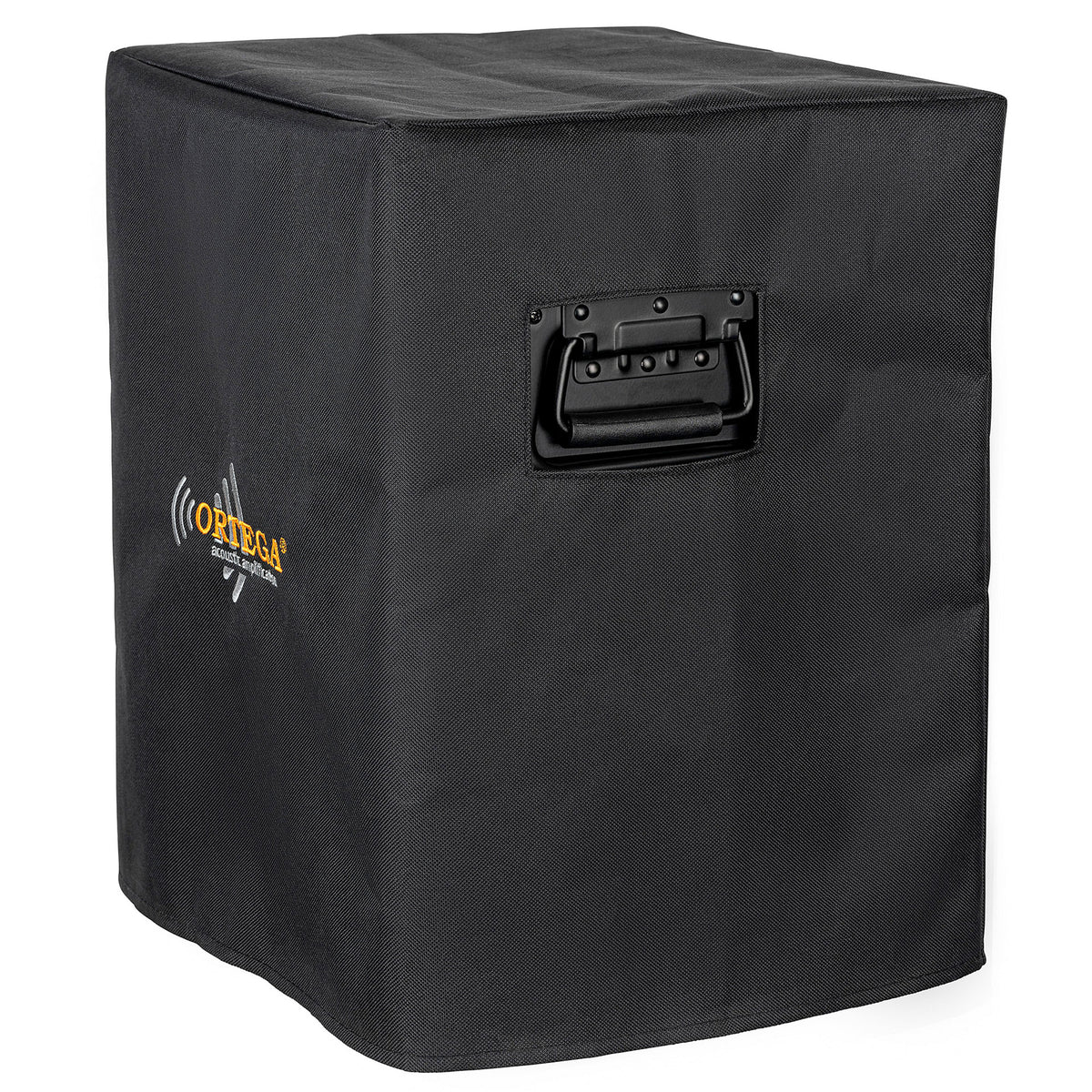 CONE-ASH, ampli combo guitare acoustique 100W, deux canaux, réverb & chorus intégrés, avec housse, frêne naturel satiné et noir