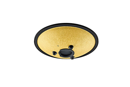 TONGUE SONIC ENERGY, COMPACT, GOLD