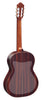 Ortega Film Protege Fond Transparent