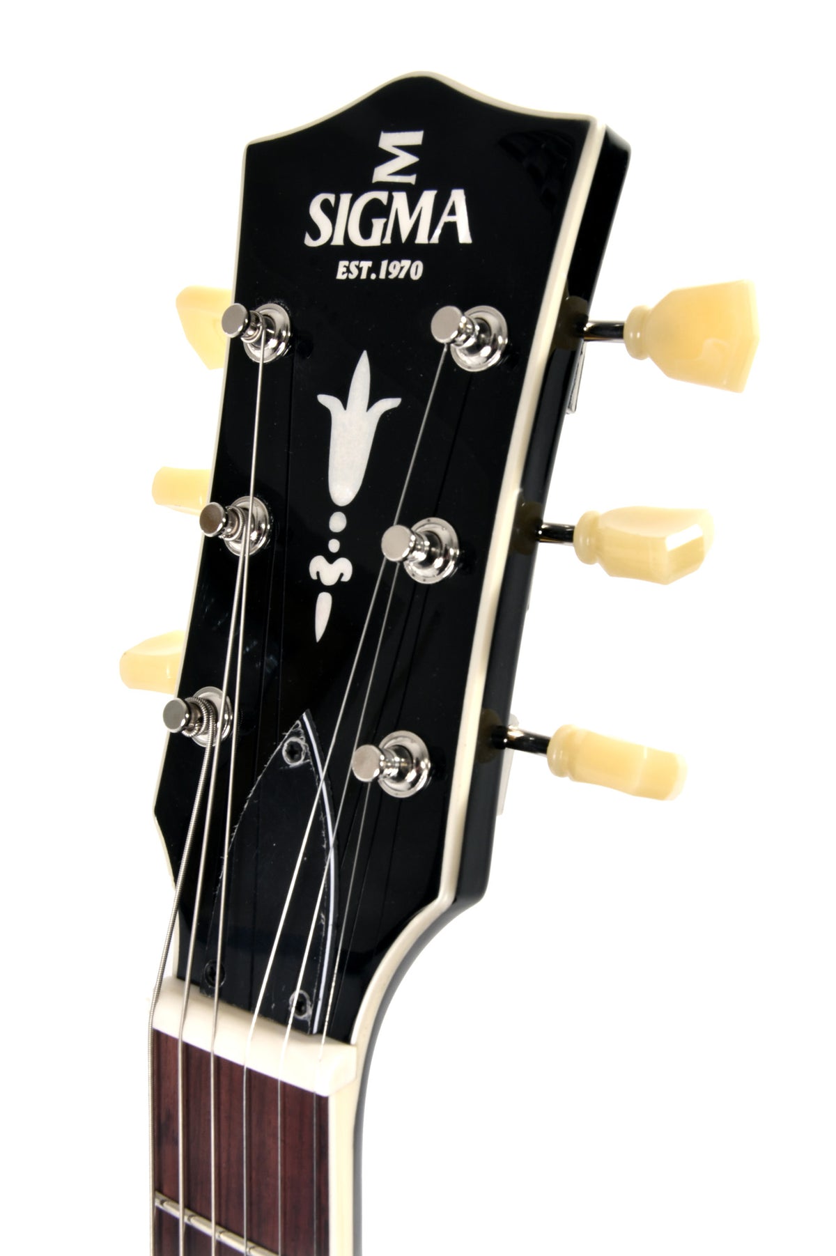 SIGMA SERIE HOLLOWBODY HBA-102P-VSB
