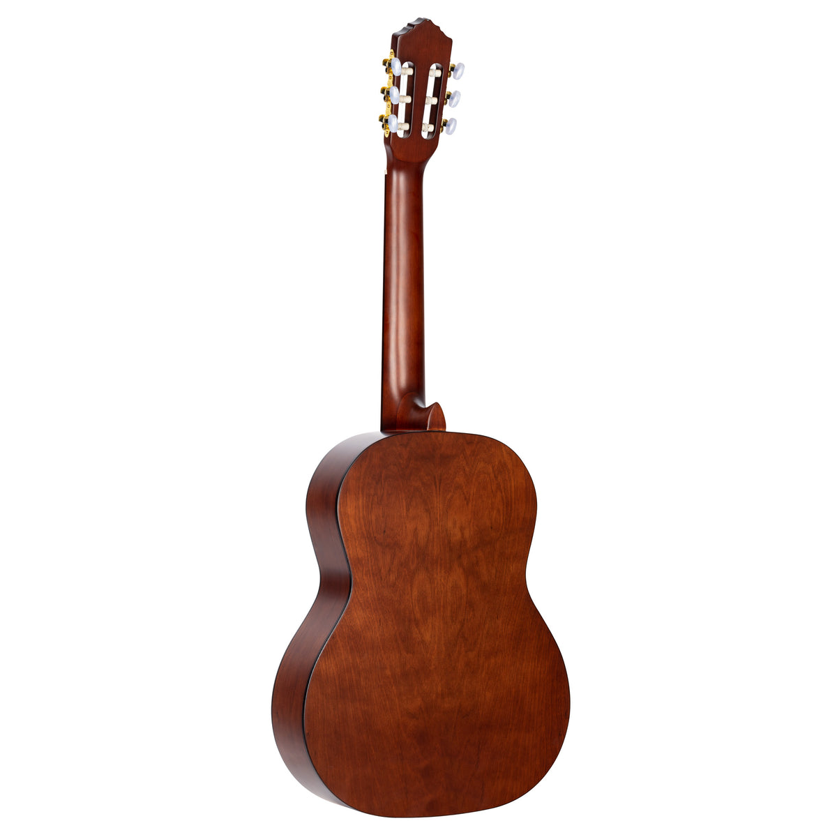 R55DLX, table épicéa Engelmann massif, fond & éclisses catalpa, manche nato, sillet 52 mm, chanfrein, naturel satiné