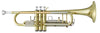 Antigua Trompette en Si Bemol TR2565LQ