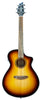 Breedlove Discovery S Concert CE Edgeburst Cedre