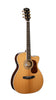 Cort Gold OC8