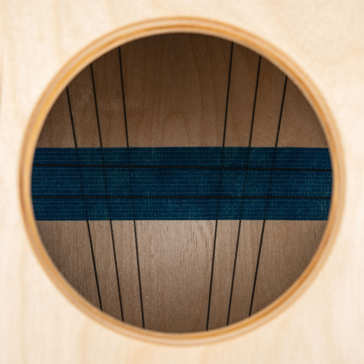 CAJON MEINL ARTISAN TANGO LINE, BLUE FADE