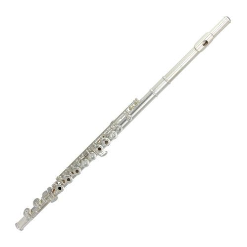 Trevor James Flute traversière Cantabile 31CV-HRXWL